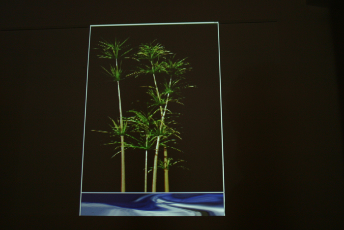 virtual_tree_6
