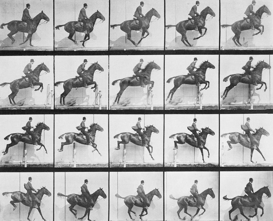 man-and-horse-jumping-a-fence