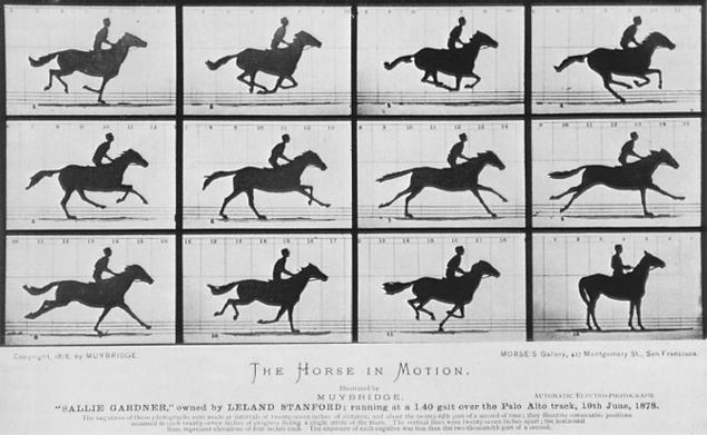 muybridge_galloping_horse