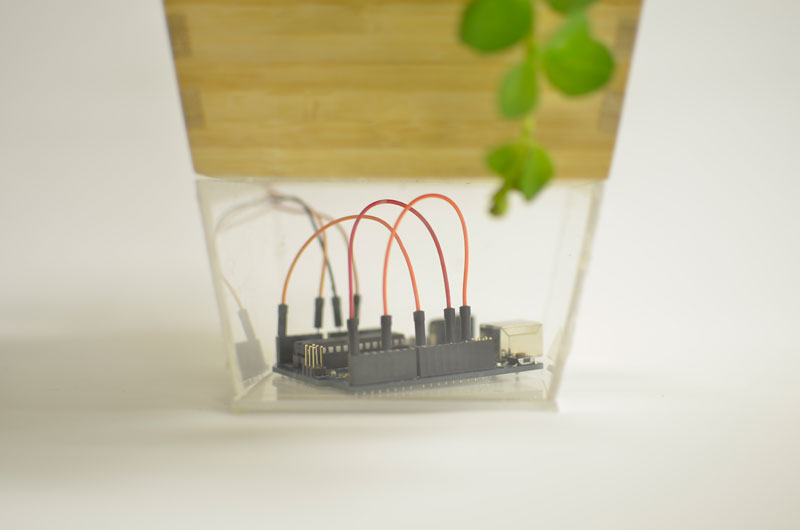 Ina - InSynchLab - 2014